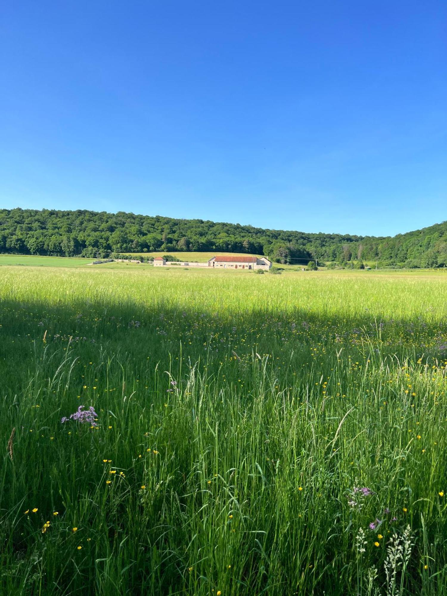 Gite (4 pers) de la Vallée de l'Aujon Arc-en-Barrois Esterno foto